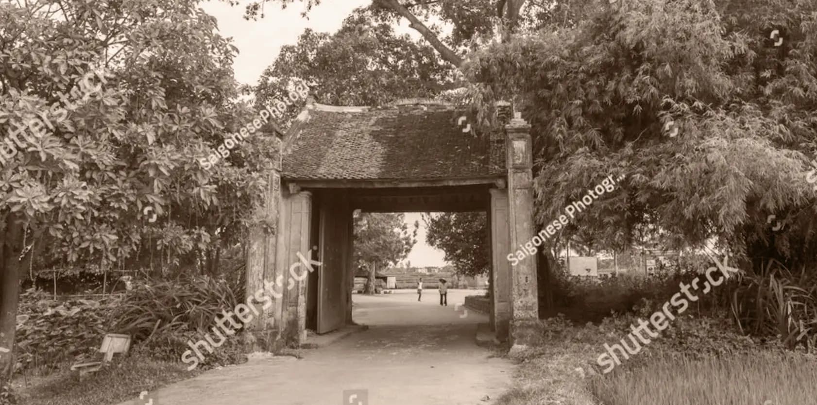 Cổng làng dưới tán cây lớn