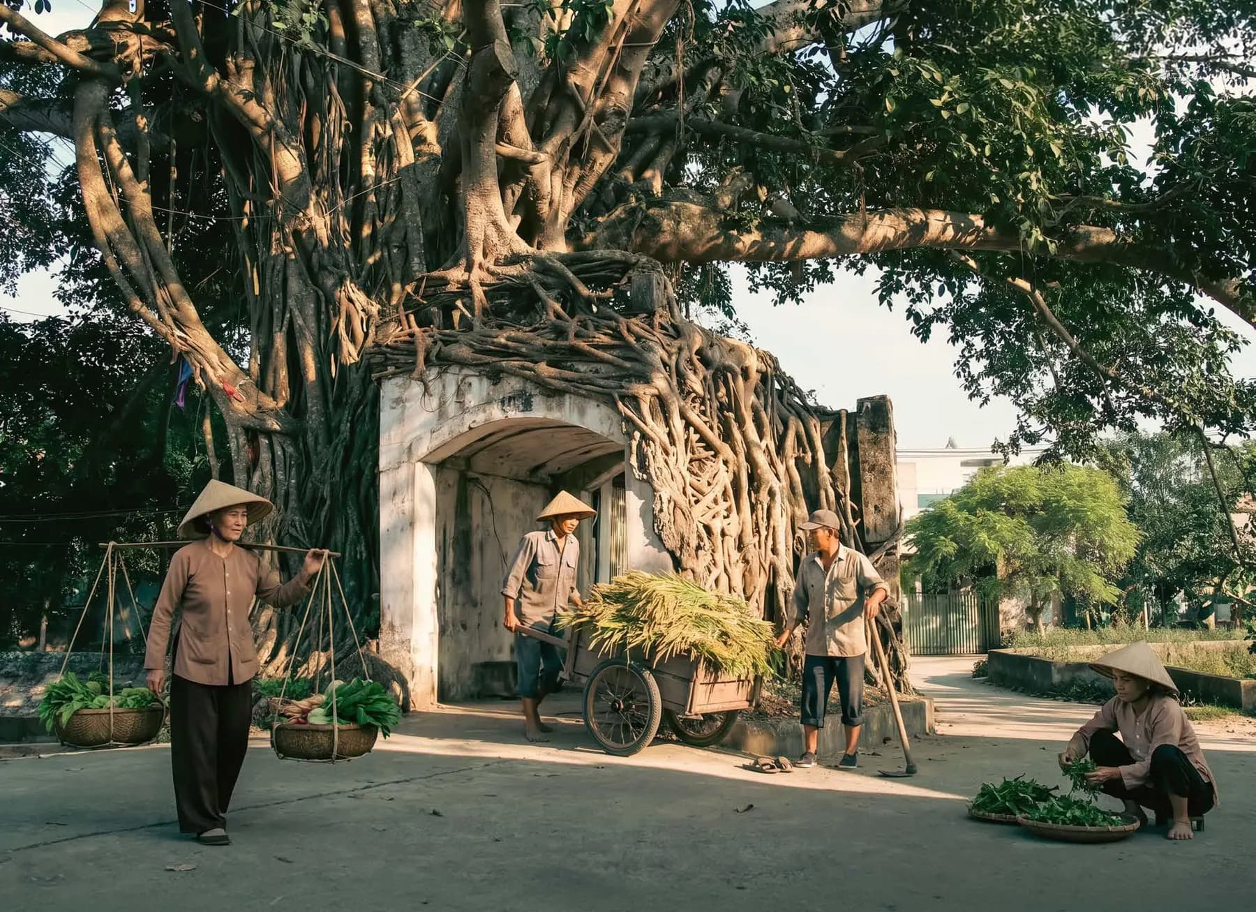 Cổng làng dưới tán cây đa cổ thụ